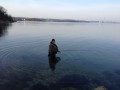 IMG 0590